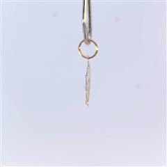 10K Yellow Gold 0.3g